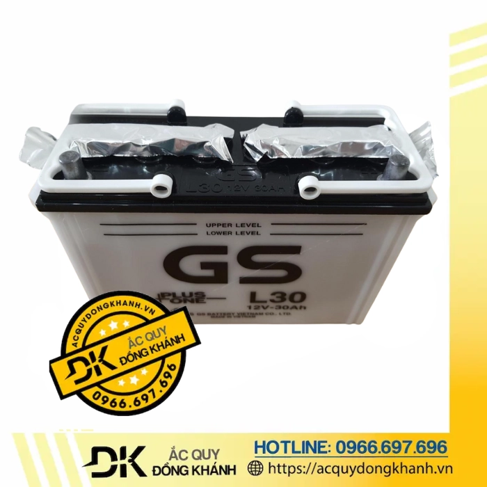 Ắc quy GS 12V 30AH L30