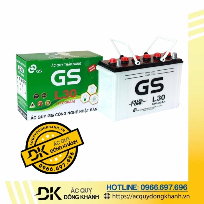 Ắc quy GS 12V 30AH L30